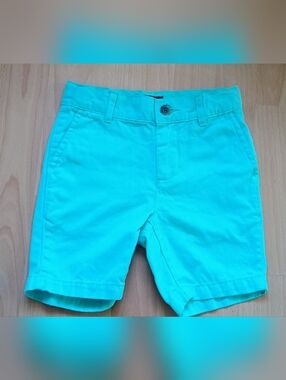 The Children's Place Teal Shorts 4T